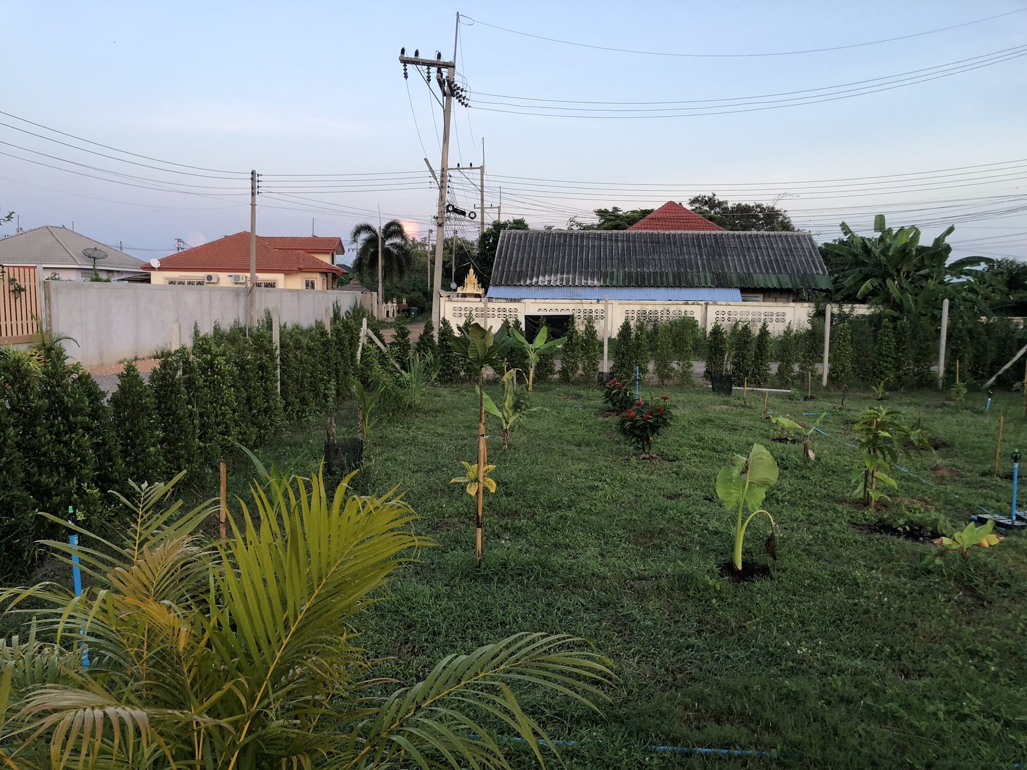 Build-Ready Plot with the Best Mountain Views in Cha-Am – photo 30